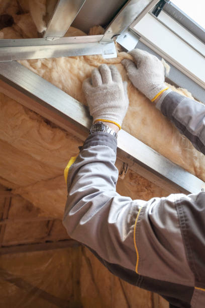 Best Cellulose Insulation in Santa Maria, CA
