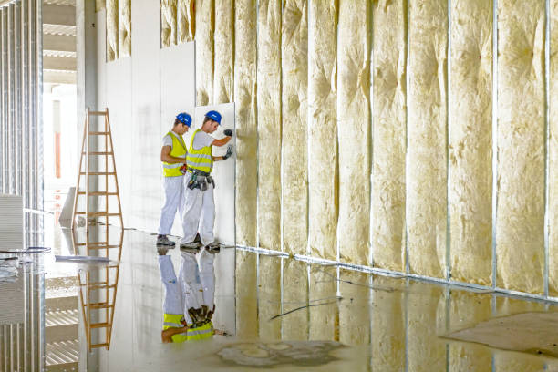 Best Residential Insulation in Santa Maria, CA